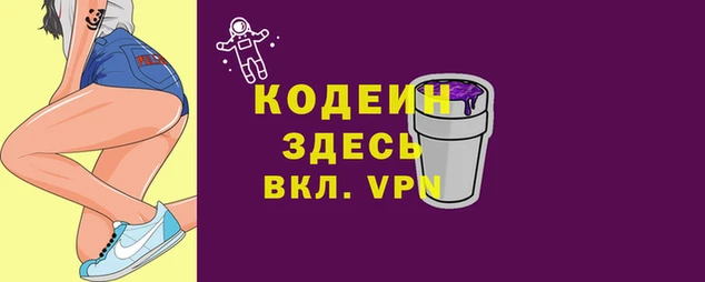 шишки Новодвинск