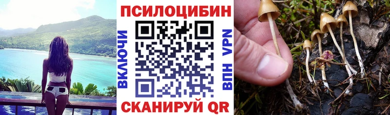 купить наркотик  Солигалич  Псилоцибиновые грибы Cubensis 